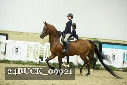 24BUCK_09921 thumbnail