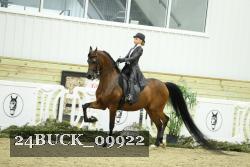 24BUCK_09922 thumbnail