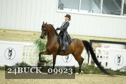 24BUCK_09923 thumbnail
