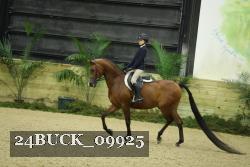 24BUCK_09925 thumbnail