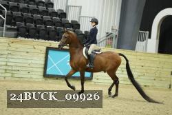 24BUCK_09926 thumbnail