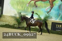 24BUCK_09927 thumbnail