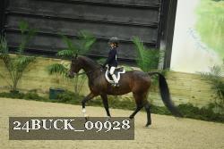 24BUCK_09928 thumbnail