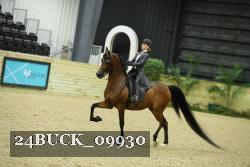 24BUCK_09930 thumbnail