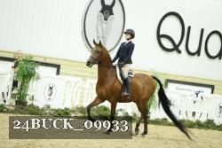 24BUCK_09933 thumbnail