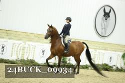 24BUCK_09934 thumbnail