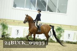 24BUCK_09935 thumbnail