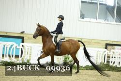 24BUCK_09936 thumbnail