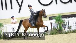24BUCK_09939 thumbnail