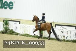 24BUCK_09953 thumbnail