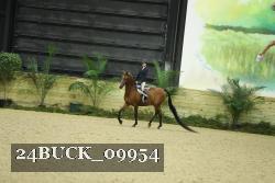 24BUCK_09954 thumbnail