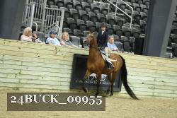 24BUCK_09955 thumbnail