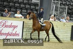 24BUCK_09956 thumbnail