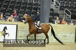 24BUCK_09958 thumbnail