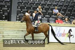 24BUCK_09960 thumbnail