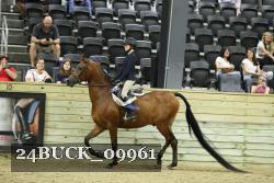 24BUCK_09961 thumbnail