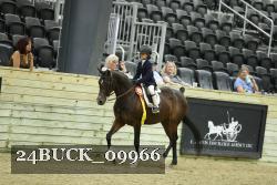 24BUCK_09966 thumbnail
