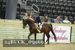 24BUCK_09969 thumbnail
