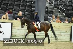 24BUCK_09970 thumbnail