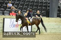 24BUCK_09971 thumbnail