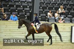 24BUCK_09972 thumbnail