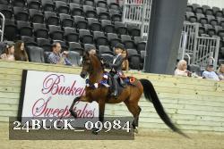 24BUCK_09984 thumbnail