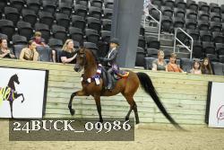 24BUCK_09986 thumbnail