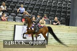 24BUCK_09987 thumbnail