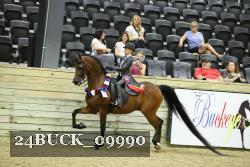 24BUCK_09990 thumbnail