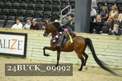 24BUCK_09992 thumbnail