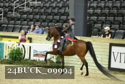 24BUCK_09994 thumbnail