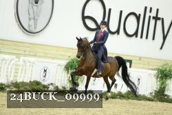 24BUCK_09999 thumbnail