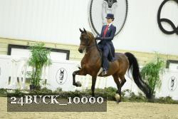 24BUCK_10000 thumbnail