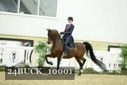 24BUCK_10001 thumbnail