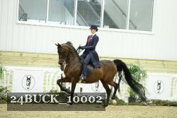 24BUCK_10002 thumbnail