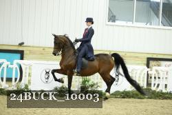 24BUCK_10003 thumbnail