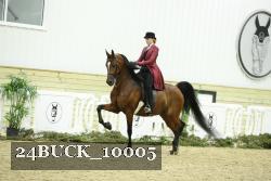 24BUCK_10005 thumbnail