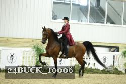 24BUCK_10006 thumbnail