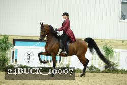 24BUCK_10007 thumbnail