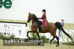 24BUCK_10008 thumbnail