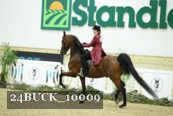 24BUCK_10009 thumbnail