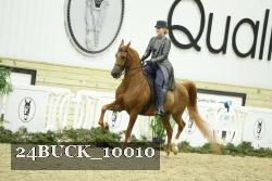 24BUCK_10010 thumbnail
