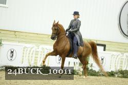 24BUCK_10011 thumbnail