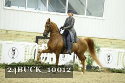 24BUCK_10012 thumbnail