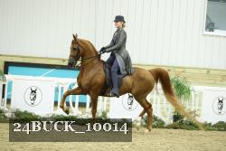 24BUCK_10014 thumbnail