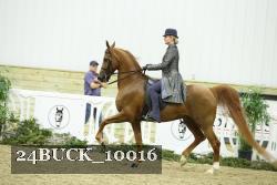 24BUCK_10016 thumbnail