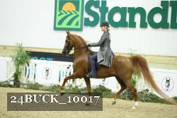 24BUCK_10017 thumbnail