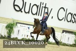 24BUCK_10020 thumbnail
