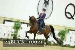 24BUCK_10021 thumbnail