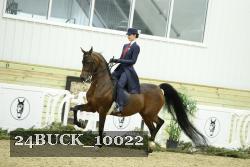 24BUCK_10022 thumbnail